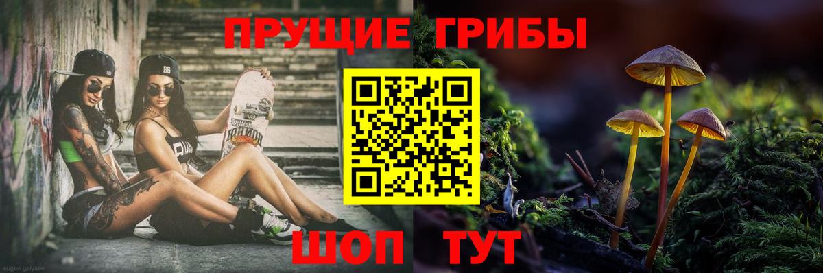 Псилоцибиновые грибы мицелий  Псилоцибиновые грибы Magic Shrooms  Вход с VPN  Россошь 